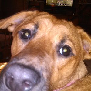 Meet your Posher, Vicki